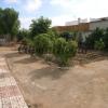 Chiclana, Carboneros